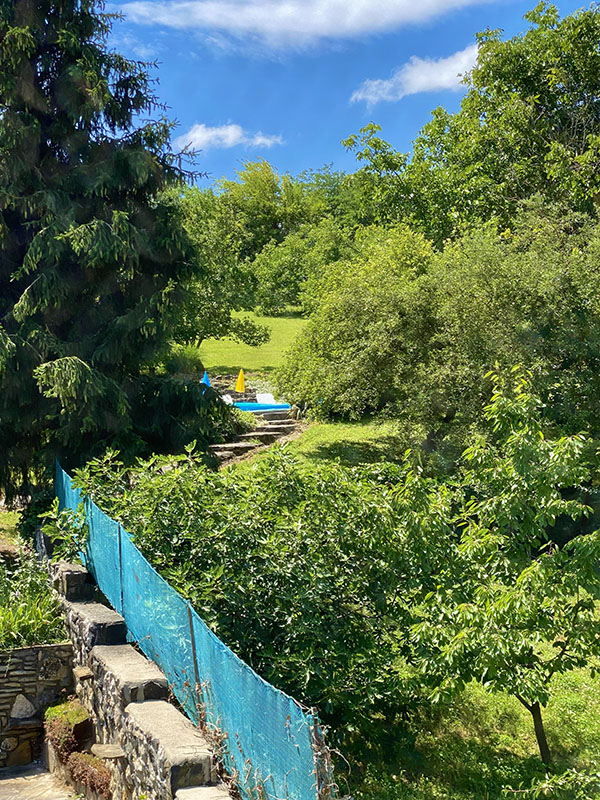 Doppelzimmer mit Gartenblick 2